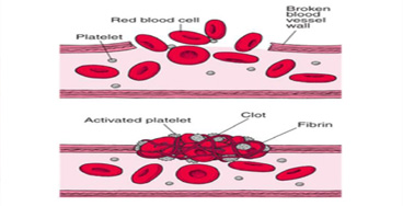 Bleeding-Time-(BT)-and-Clot G6PD Quantitative
