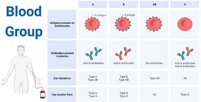 Blood-Group Blood Group