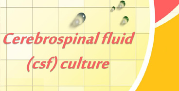 CSF-Routine-and-Microscopy- electrolytes with calcium test