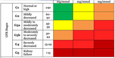Estimated-Glomerular-Filtra Estimated Glomerular Filtration Rate