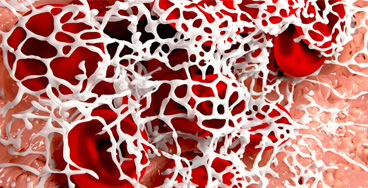 Fibrinogen Fibrinogen
