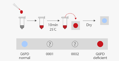 G6PD-Quantitative G6PD Quantitative
