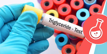 Triglycerides-Serum Triglycerides – Serum