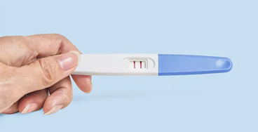 Urine-Pregnancy-Test Urine Pregnancy Test
