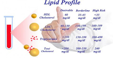 lipid-profile